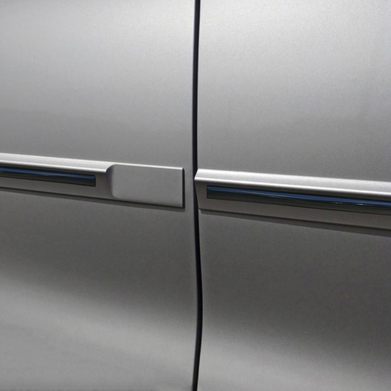 Painted Molding with Color Insert Nissan Rogue Sport Painted